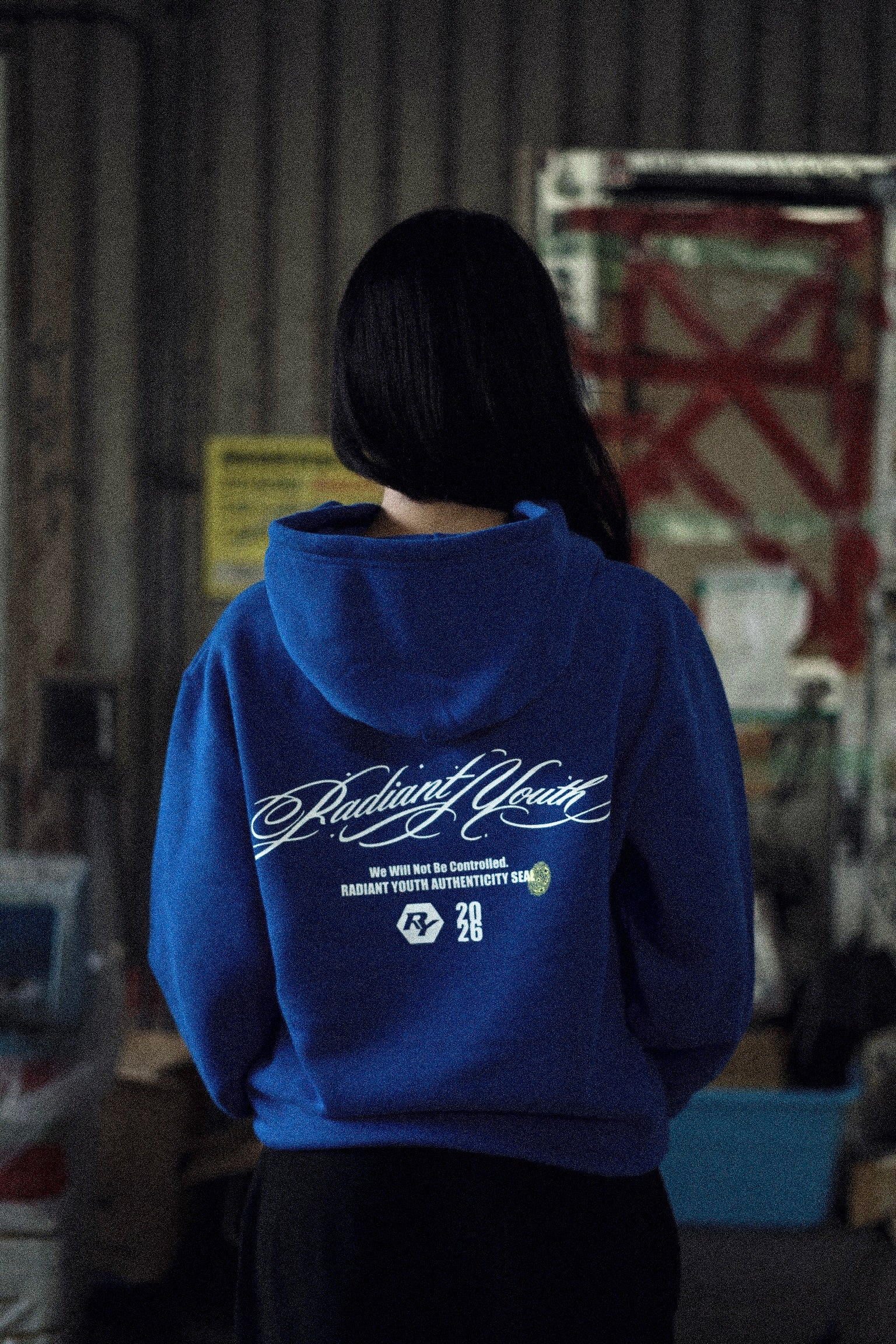 Signatuge Mark Hoodie