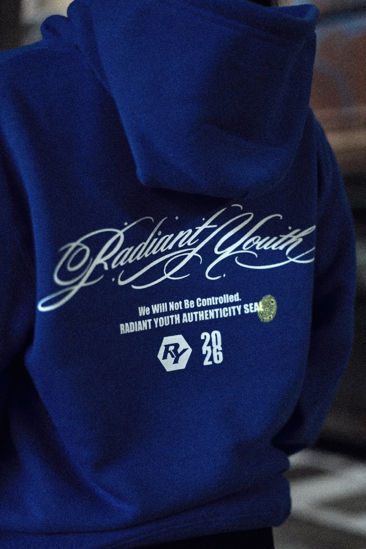 Signatuge Mark Hoodie
