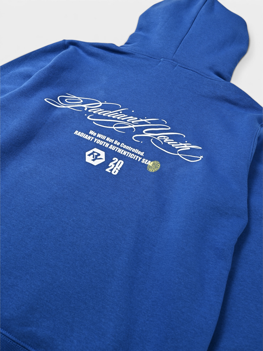 Signatuge Mark Hoodie